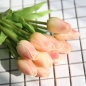 피어나 한송이 튤립 조화(피치)