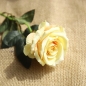 로즈가든 벨벳 장미 조화(옐로우)