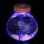 마리모 키우기 LED 코르크 유리병(15x16cm)
