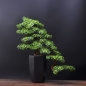 선물용 인테리어 장식품 조화분재 G형(51cmx12cmx58cm)