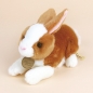 MIYONI 미요니 버니 토끼 인형 더치버니 (더치)