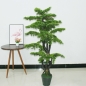 시들지 않는 소나무 조화(150cm)