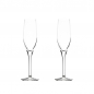 [독일 스토즐] 익스퀴지트 샴페인잔 2P세트(175ml) CG895