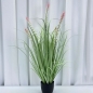 홈가든 인테리어 조화 B (70cm)