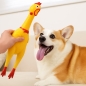 멍멍토이 삑삑이 닭 장난감(37cm)
