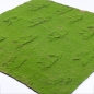 플랜테리어 리얼 인조 이끼 2P B-8(100cm*100cm)