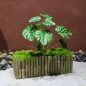 플랜테리어 대나무 이끼 조경 장식품C-1
